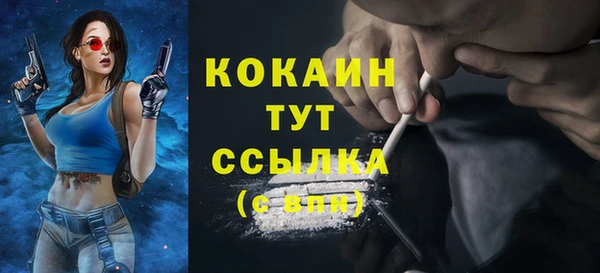 амф Алзамай