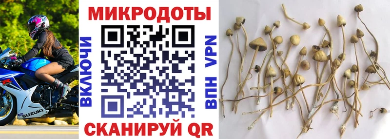 Псилоцибиновые грибы прущие грибы  Ардатов 